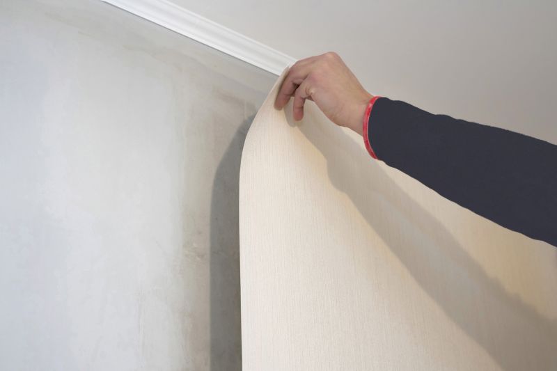 Wallpaper Seam Repair in Denver County, CO
